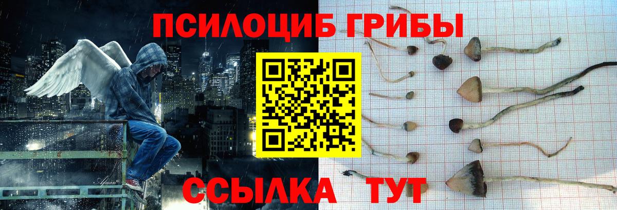 Галлюциногенные грибы GOLDEN TEACHER Воткинск